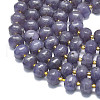 Natural Lepidolite/Purple Mica Stone Beads Strands G-P573-B05-01-3