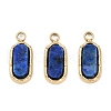 Natural Lapis Lazuli Rectangle Charms STAS-I325-141A-G-1