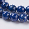 Natural Lapis Lazuli Beads Strands X-G-G423-10mm-A-3