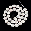 Plating Natural Freshwater Shell Beads Strands SHEL-N026-225C-2