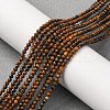 Natural Tiger Iron Beads Strands G-RM250104-B5-2