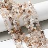 Natural Rutilated Quartz Beads Strands G-M205-96-5