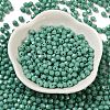 Baking Painted Glass Seed Beads SEED-C004-01I-2