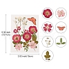 Pressed Dried Flowers DIY-YWC0001-98-3