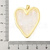 Rack Plating Brass & Epoxy Resin Pendants KK-C059-10B-G-3