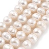 Natural Cultured Freshwater Pearl Beads Strands PEAR-C003-15D-2