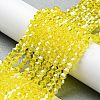 Transparent Electroplate Glass Beads Strands GLAA-F029-3mm-C21-4