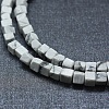 Natural Howlite Beads Strands G-F631-C17-3