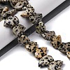Natural Dalmatian Jasper Beads Strands G-F783-G06-01-2