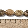 Natural Picture Jasper Beads Strands G-P528-M28-01-5