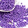 Baking Paint Glass Seed Beads SEED-A032-02T-1