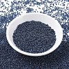 MIYUKI Round Rocailles Beads X-SEED-G007-RR0358-2