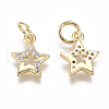 Brass Micro Pave Cubic Zirconia Charms ZIRC-F111-15G-2