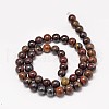 Natural Red Tiger Iron Round Bead Strands X-G-P075-22-6mm-2