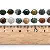 Natural Indian Agate Beads Strands G-T131-77A-7
