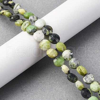 Natural Serpentine Beads Strands G-C179-A48-03-1