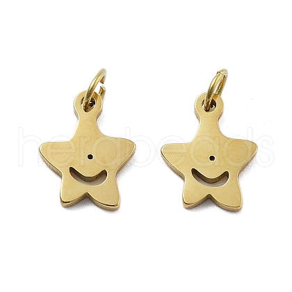 304 Stainless Steel Pendants STAS-D302-11G-1