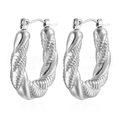 Non-Tarnish 304 Stainless Steel Hoop Earrings IQ5375-2-1