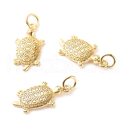 Brass Micro Pave Clear Cubic Zirconia Pendants ZIRC-P094-14G-RS-1