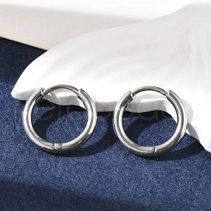 Tarnish Resistant 304 Stainless Steel Hoop Earrings EJEW-P177-P-07-1