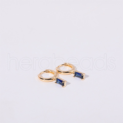 Brass Micro Pave Cubic Zirconia Hoop Earrings WGF8540-09-1