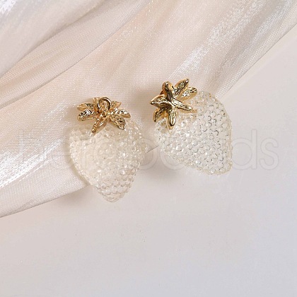 Alloy Resin Pendants CRES-D306-09G-A-1