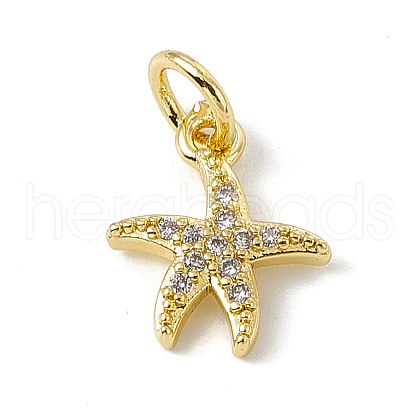 Brass Micro Pave Cubic Zirconia Charms ZIRC-F132-25G-1
