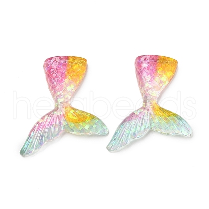 Resin Cabochons RESI-R456-02B-1