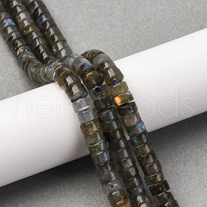 Natural Labradorite Beads Strands G-Z006-C52-1