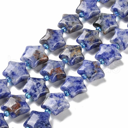 Natural Blue Spot Jasper Beads Strands G-NH0005-002-1
