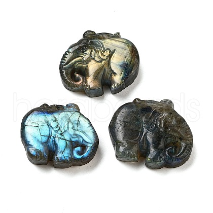 Natural Labradorite Carved Cabochons G-C152-11-1
