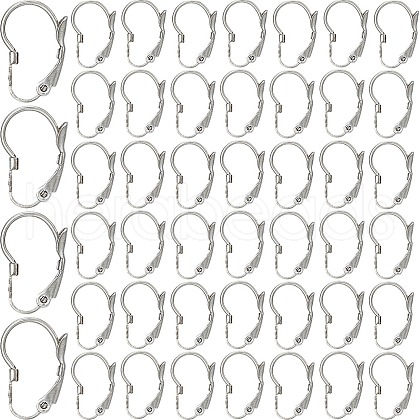 SOFPLATE 304 Stainless Steel Leverback Earring Findings STAS-SP0001-03A-1