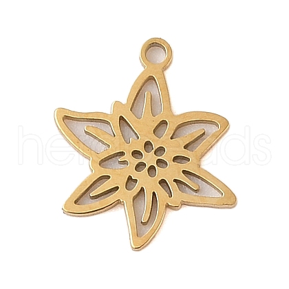 304 Stainless Steel Pendants STAS-S139-06G-01-1