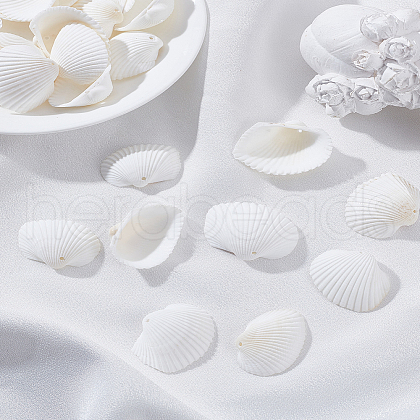 100g Natural Shell Pendants SSHEL-LP0001-01-1
