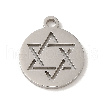 Non-Tarnish 201 Stainless Steel Charms STAS-E217-06P-1
