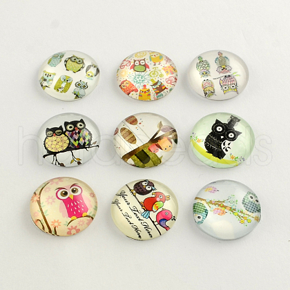 Cartoon Owl Pattern Flatback Half Round/Dome Glass Cabochons GGLA-R026-25mm-06-1