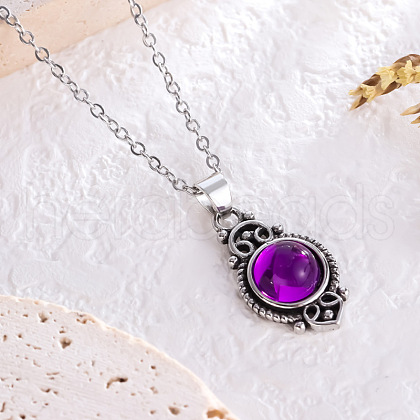 Bohemian Style Horse Eye Alloy with Resin Pendant Necklaces for Women FS-WG56C17-03-1