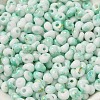 Baking Paint Glass Seed Beads X1-SEED-F006-01A-08-3