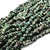 Natural African Turquoise(Jasper) Chip Beads Strands X-G-E271-59-1