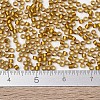 MIYUKI Delica Beads X-SEED-J020-DB1681-4