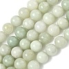 Natural Xiuyan Jade Beads Strands G-Z085-A01-10mm-2