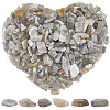 SOFPLATE 500G Natural Labradorite Beads G-SP0001-05-1