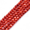 Natural Freshwater Shell Beads Strands SHEL-N026-205B-01-1