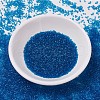 MIYUKI Delica Beads SEED-X0054-DB0714-1