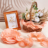 Chiffon Organza Pleated Lace Trim DIY-WH0892-01B-4