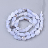 Natural Blue Lace Agate Beads Strands G-S363-047B-2