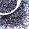 MIYUKI Round Rocailles Beads X-SEED-G007-RR1024-1