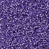 MIYUKI Delica Beads X-SEED-J020-DB1347-4