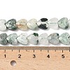 Natural Tree Agate Beads Strands G-D316-B07-4