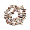 Natural Aqua Terra Jasper Beads Strands G-T140-64-2